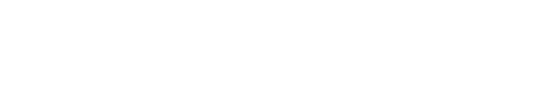 P/16 HISTORY